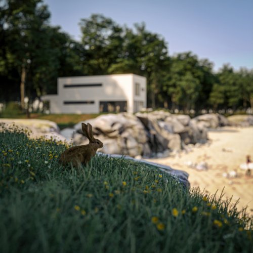 Fällt der Bauplatz kleiner aus? Wir haben die SMARTE LÖSUNG- Moderner Neubau inkl. Baugrundstück+ Fördermöglichkeiten in ruhiger Lage